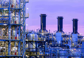 Chemical / Petrochemical
